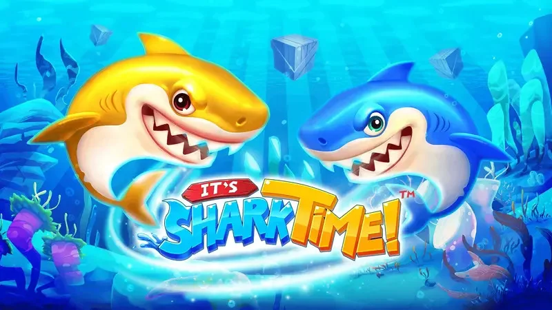 It’s Shark Time